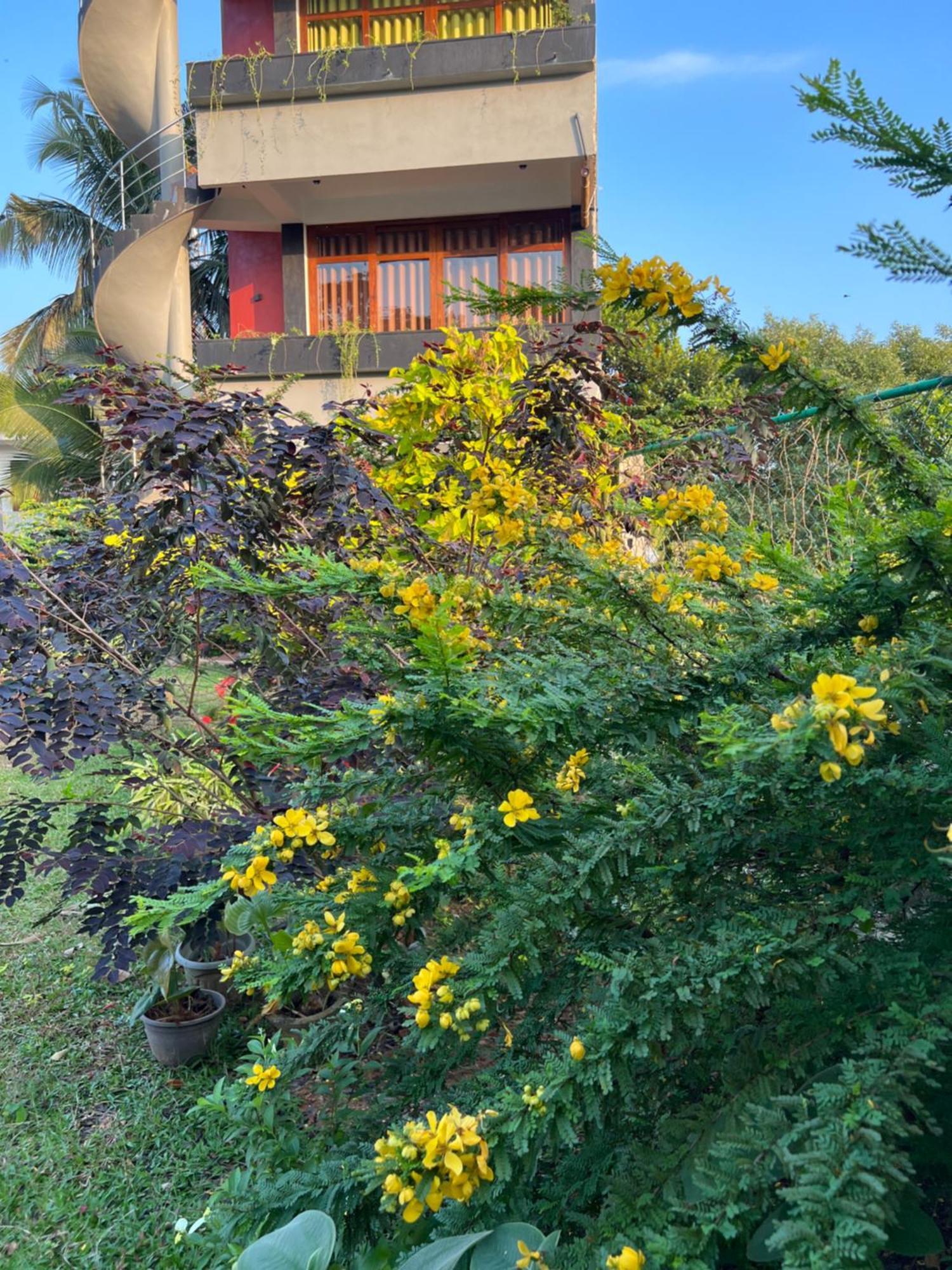 Kapaliya Unawatuna Exterior photo