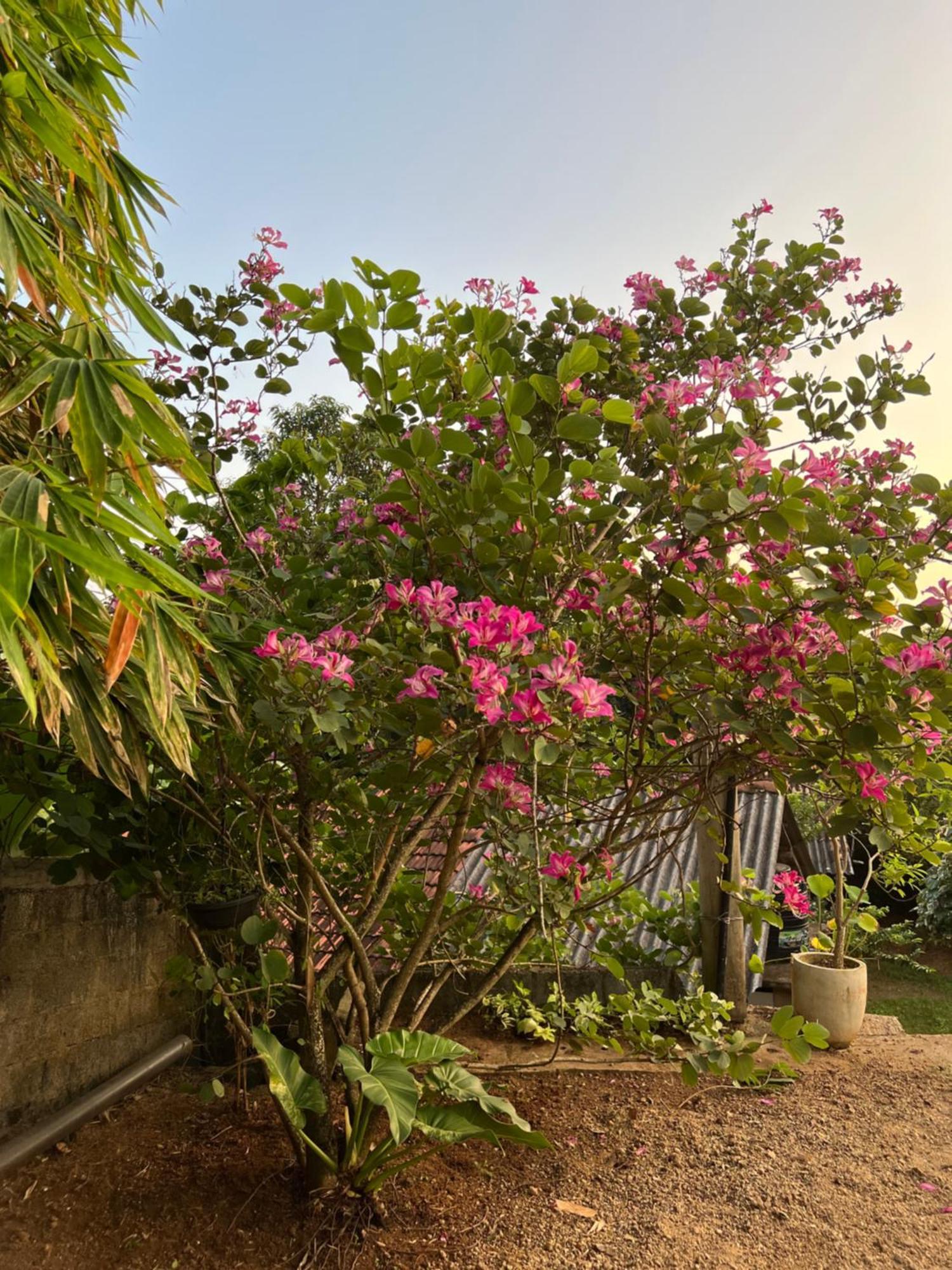Kapaliya Unawatuna Exterior photo